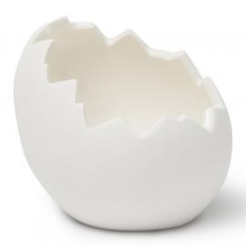 100% Chef Triassic Broken Egg