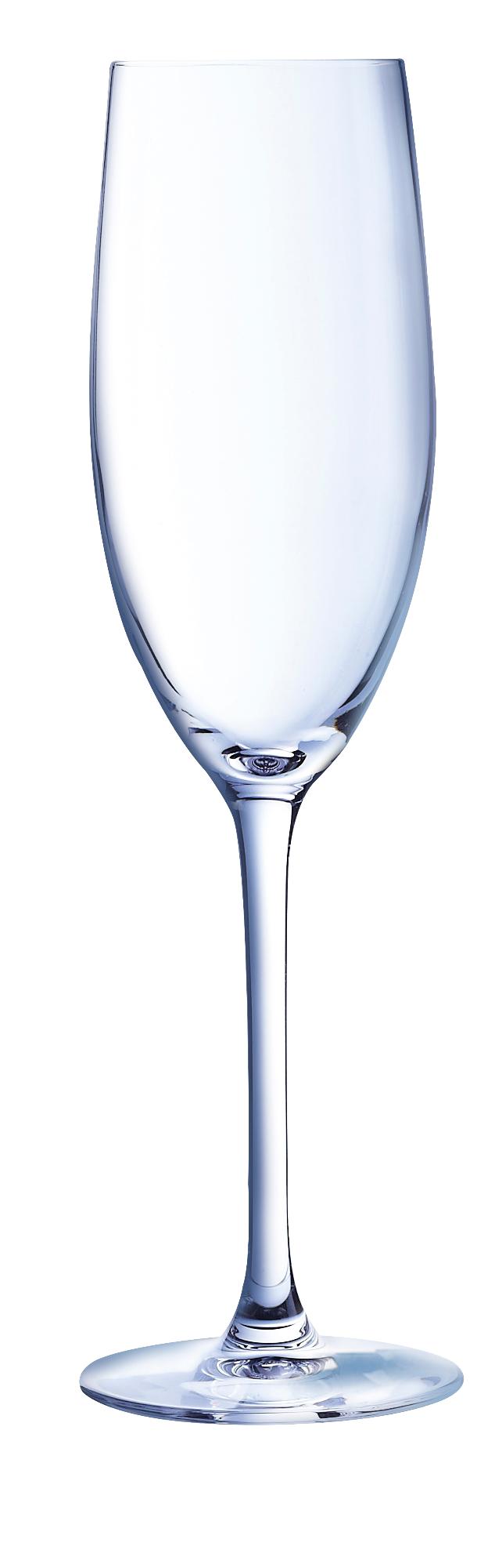 Cabernet champagne glass, 240ml