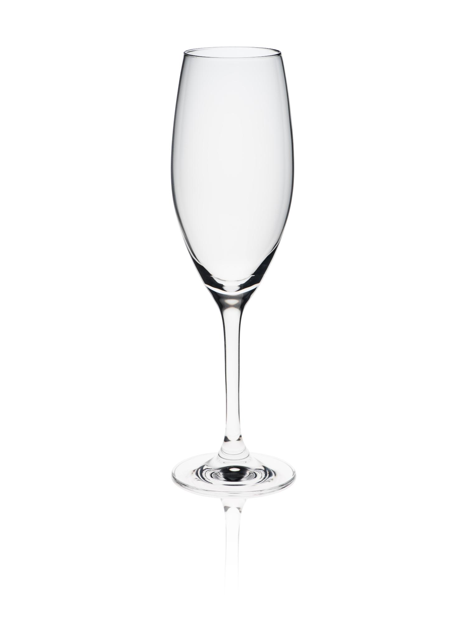Edition champagne glass, 230ml