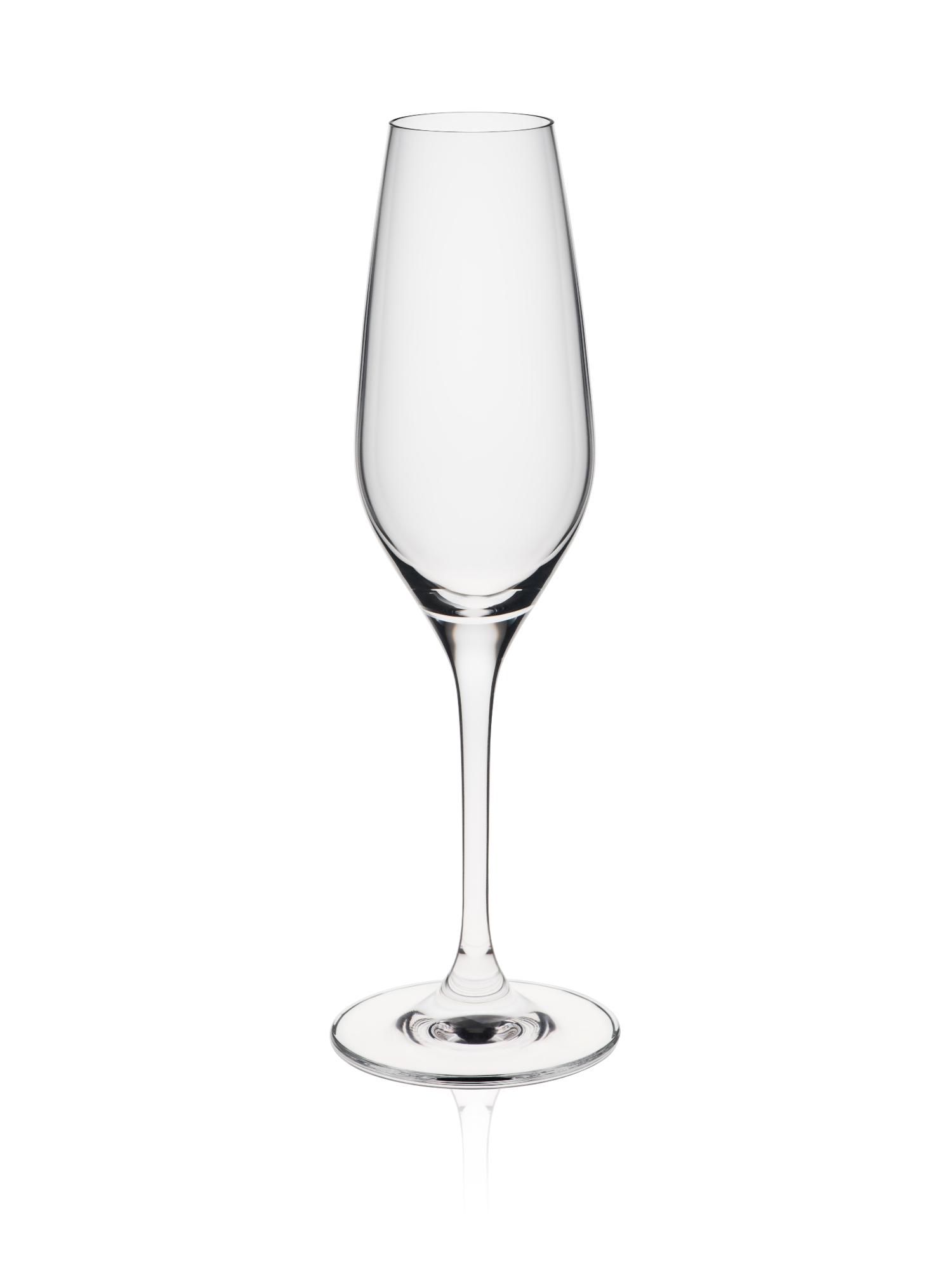 Martina champagne glass, 205ml