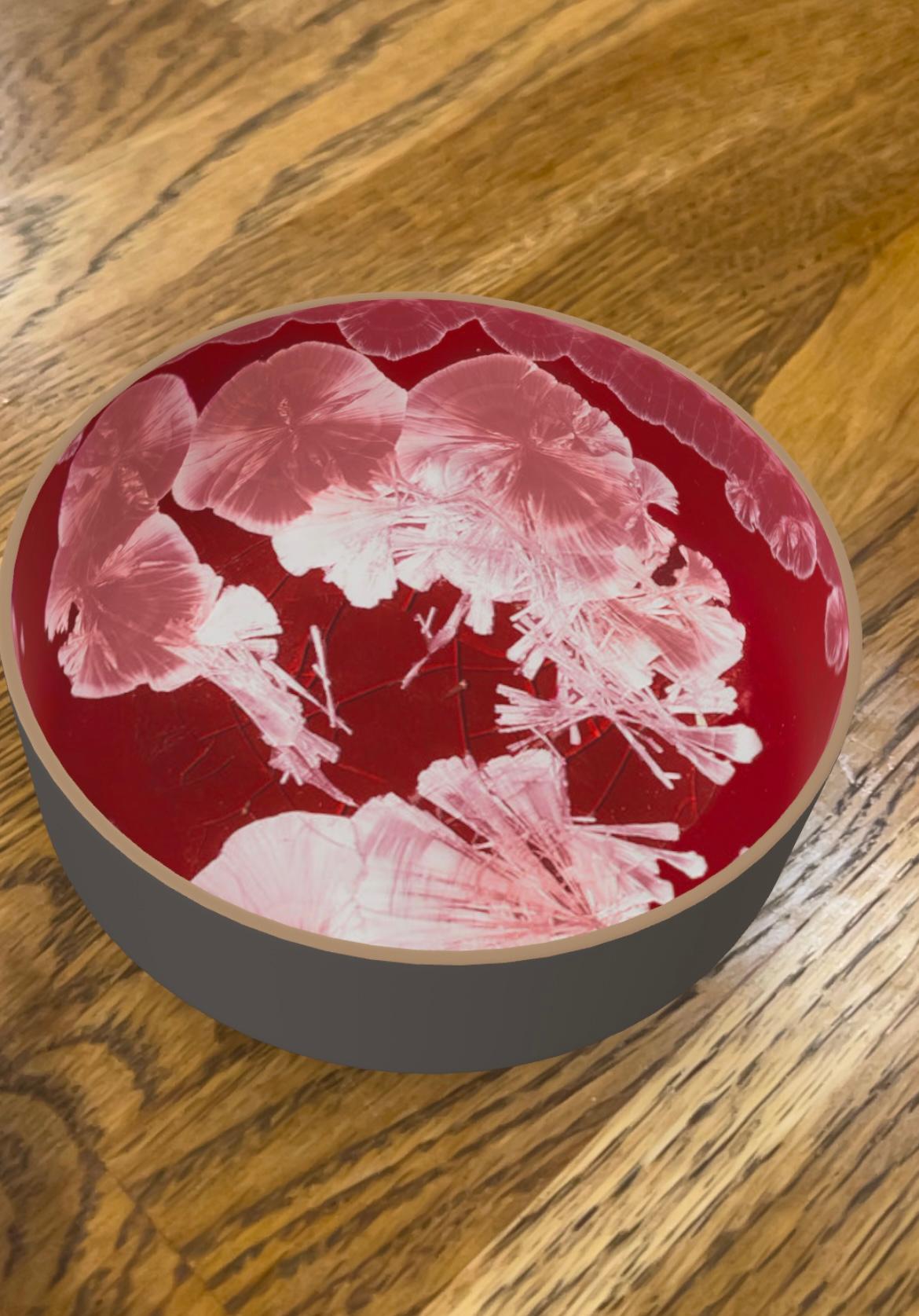 ŠTÚDIO RAW SRH005 B4