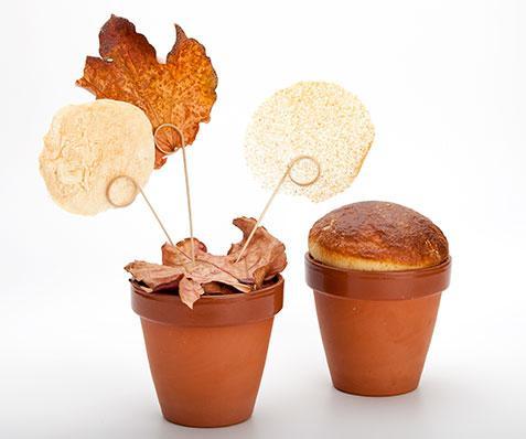 100% Chef Flower Pot Terra Xtrem   XS ø7x6cm 125ml