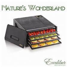 100% Chef Excalibur 4400 4 trays